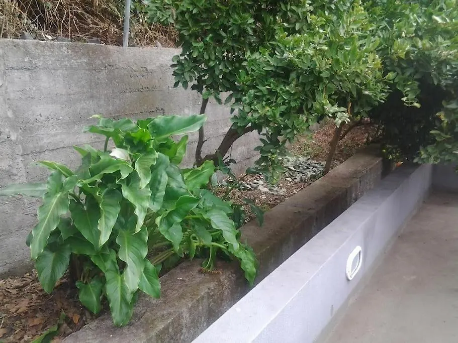 Madeira House Garden Villa Estreito de Câmara de Lobos 葡萄牙